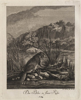 KG 01077
          <br/>
          Entwurf einiger Thiere. Fünfter Theil. (18 bladen)
          <br/>
          <em>Ridinger, Johann Elias (1698-1767)</em>